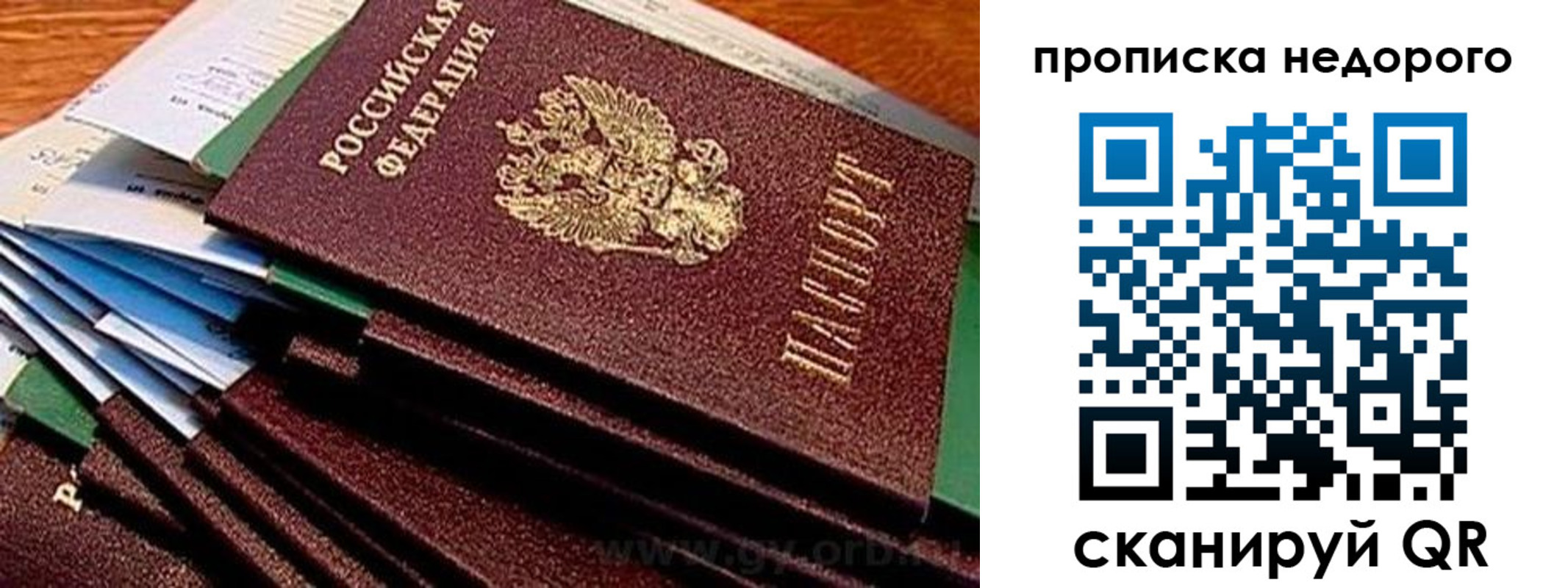 прописка паспорт в Архангельске